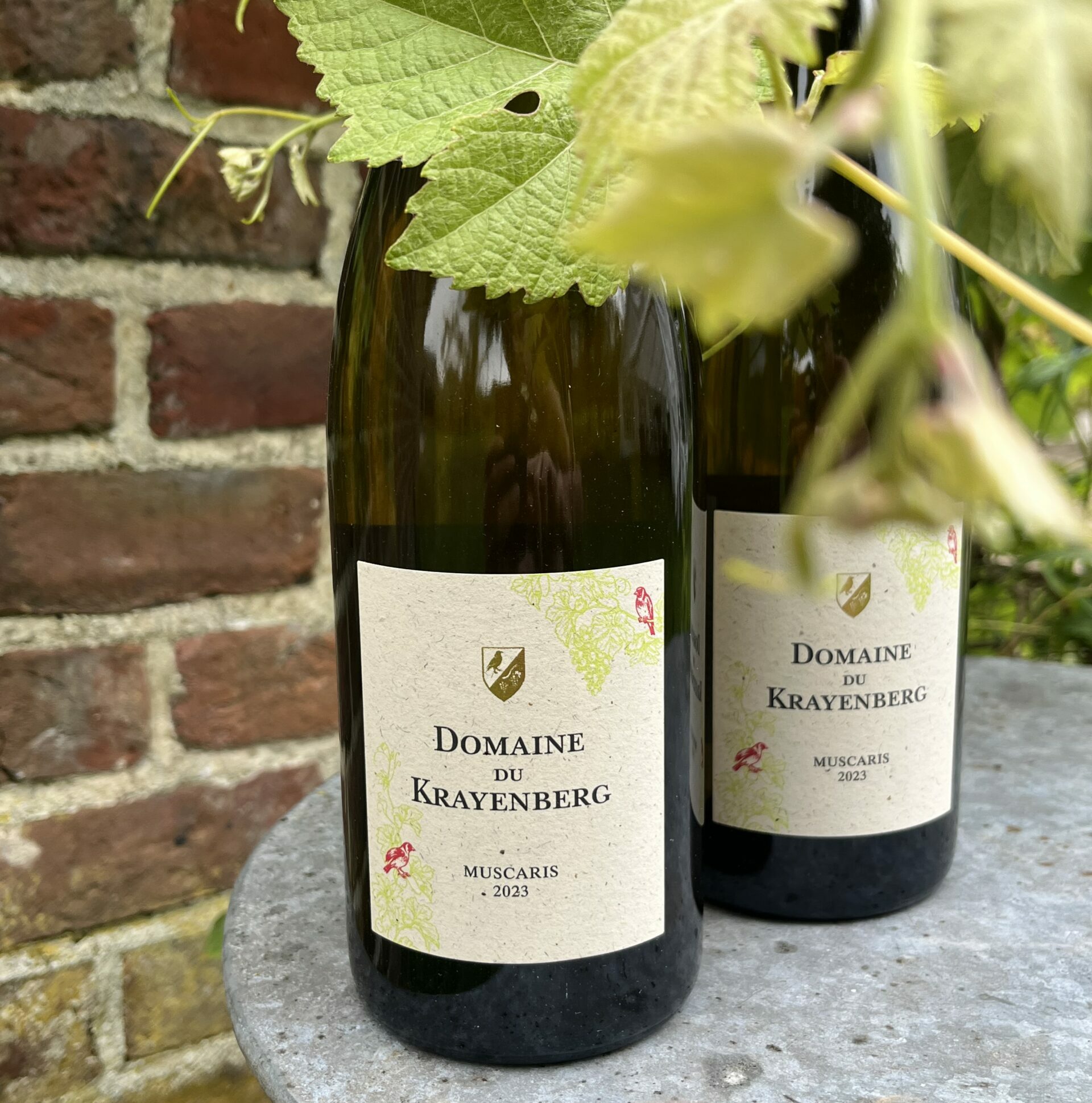 Vin blanc et bulles de Beersel